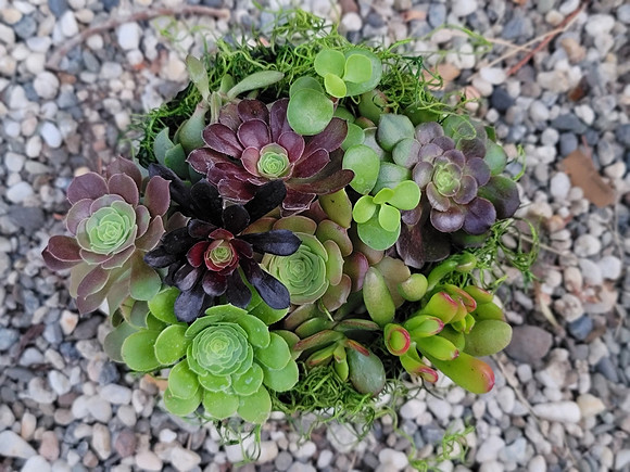 182778026_10158327446372309_5082855168984127307_n